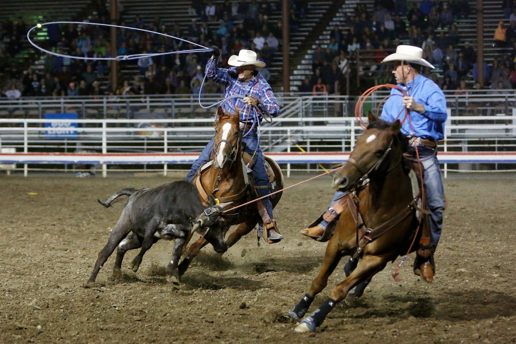 Cody Nite Rodeo Finals
